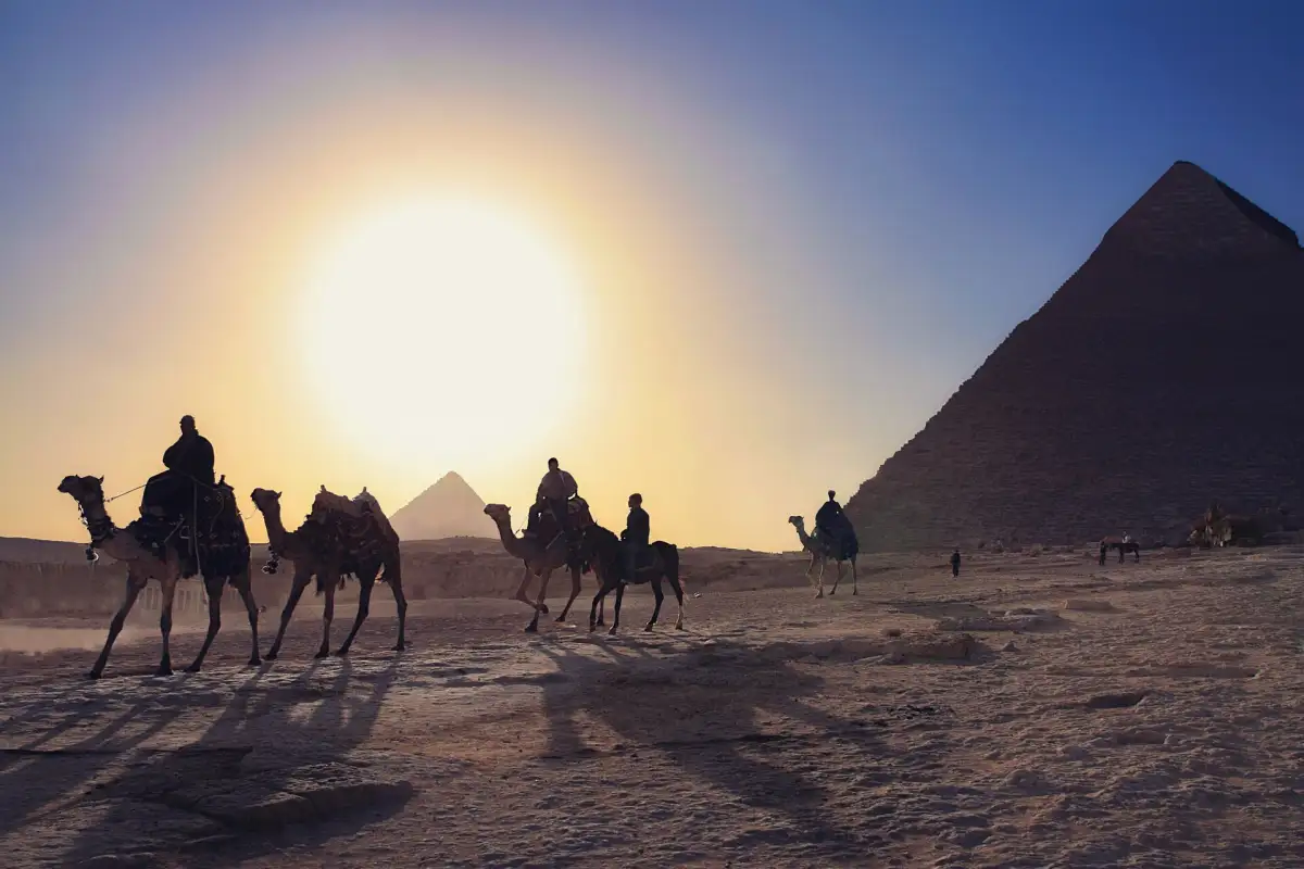Camels in front of the Pyramids of Giza