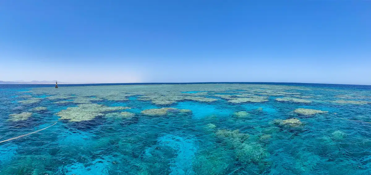 Coral reef seen from the surface near Safaga