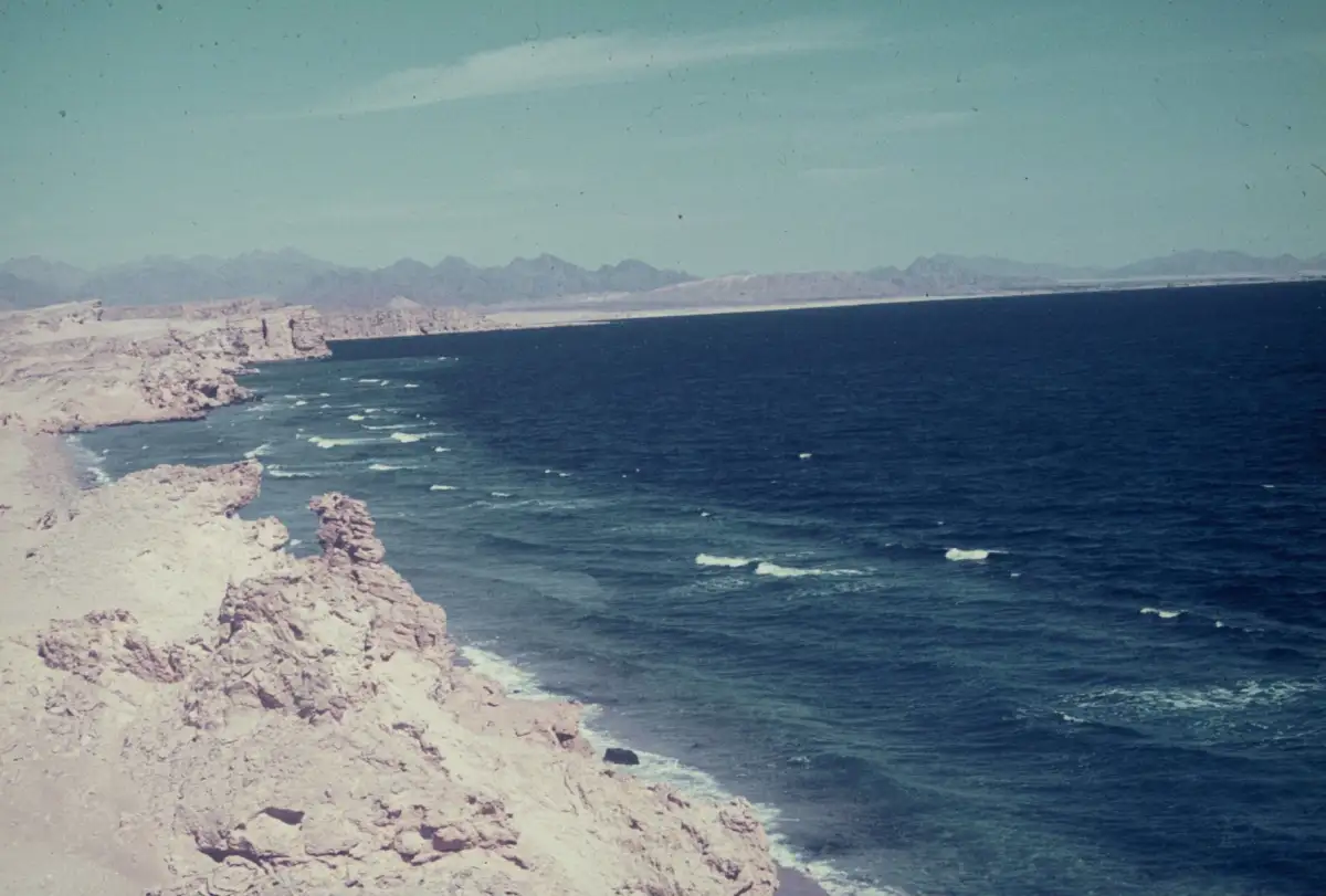 Coral reefs below the surface in Sharm El Sheikh